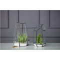 Vente chaude de terrarium en verre pour plantes d&#39;intérieur géométriques